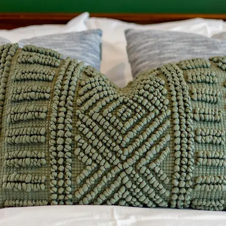 Gorgeous In Green - 2 Bed Central Oasis W/King Bed Christchurch Exterior foto
